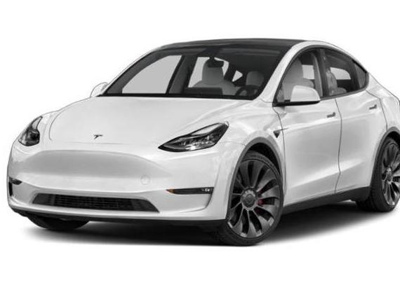 TESLA MODEL Y 2021 5YJYGDEE4MF145236 image